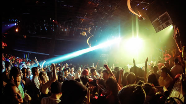 Nulla rutrum felis eu interdum